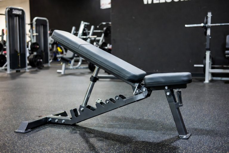 Bench Press vs Push Ups Muscles Worked