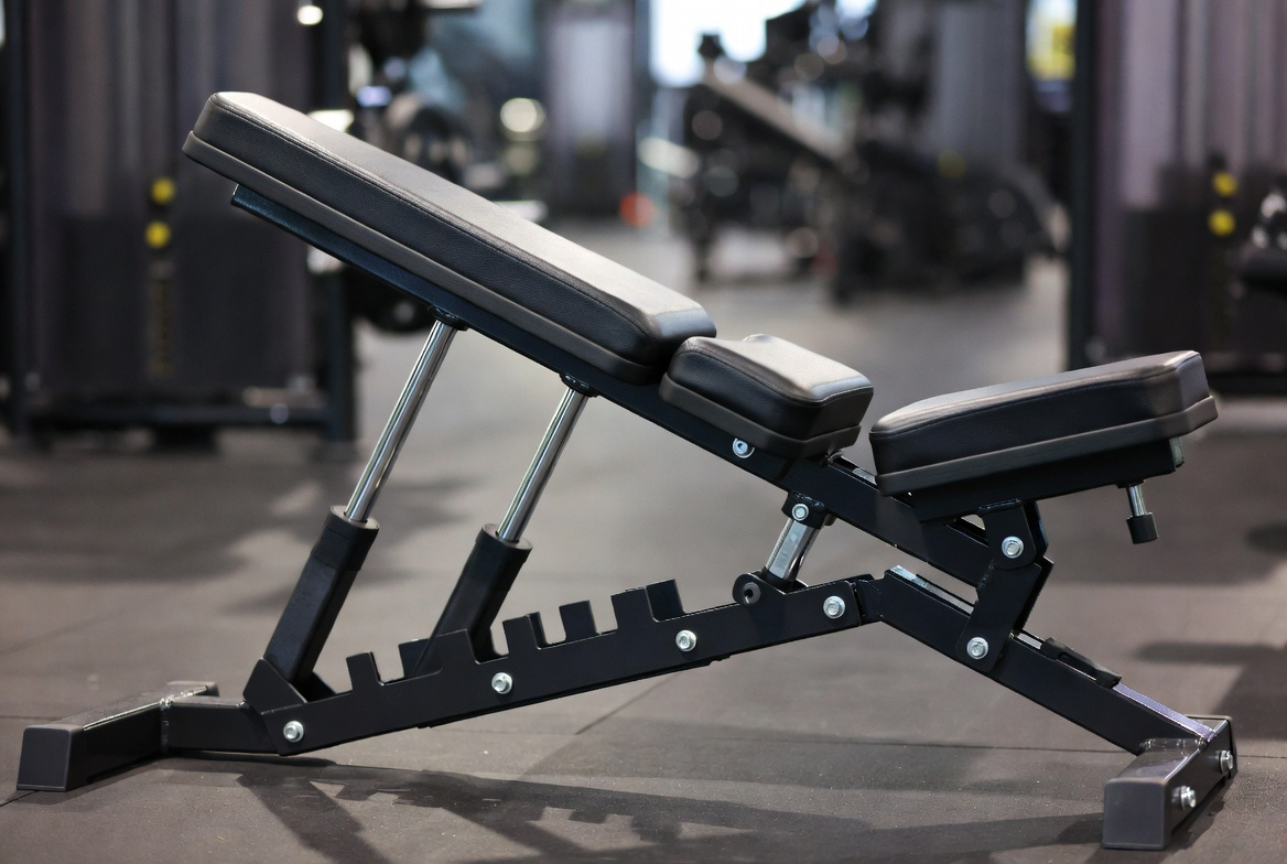Dips Muscles Worked vs Bench