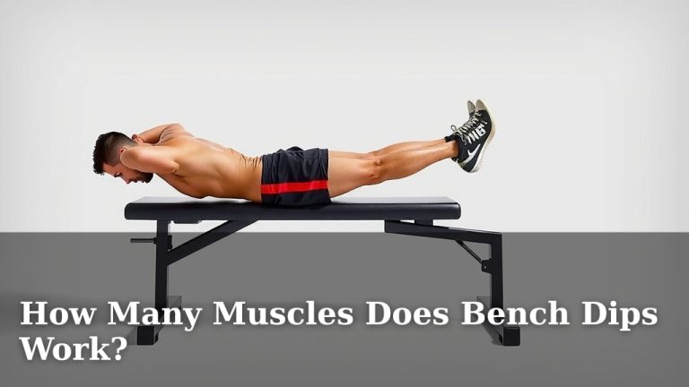 How Many Muscles Does Bench Dips Work?